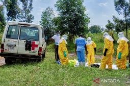 WHO Soroti Konflik di Kongo yang Bikin Penanganan Ebola Makin Sulit