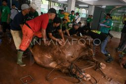 Masjid Istiqlal Jadi Contoh Penyelenggaraan Kurban di Asia Tenggara