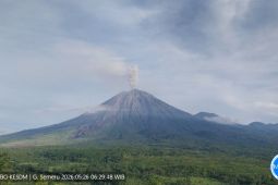 Semeru Erupsi Lima Kali Pagi Ini, Tinggi Letusan hingga 1.000 Meter