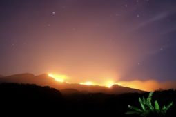 Kebakaran Meluas di Rinjani, Savana Ikonik Terancam Hangus