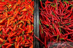 Harga Cabai Rawit Tembus Rp84.400 per Kg, Telur Ayam Rp31.350