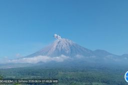 Gunung Semeru Erupsi 7 Kali dalam 8 Jam, Kolom Abu Capai 700 Meter