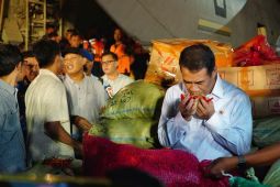 Pemerintah Pastikan Jaga Harga Cabai di Tingkat Petani dan Stabilkan di Konsumen