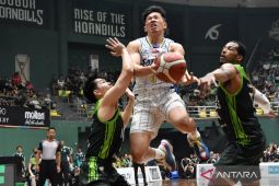 Satria Muda Mulai Berburu Pemain Asing Baru untuk Musim IBL 2027
