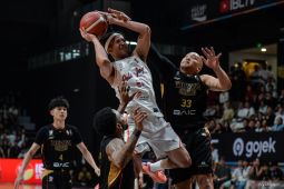 Pelita Jaya Akan Berhadapan dengan Bogor Hornbills di Final IBL 2026