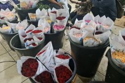 Harga Bunga Mawar di Pasar Rawa Belong Melonjak Tajam