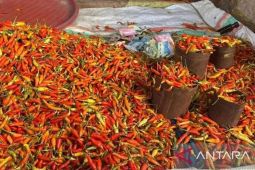Harga Cabai Rawit Tembus Rp100.000/Kg Hari Ini, Telur Ayam Rp29.700/Kg