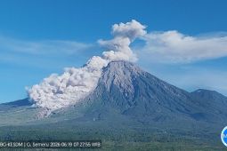 Gunung Semeru Erupsi Lagi Jumat Ini, Awan Panas Meluncur Sejauh 4,5 Km