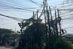 Ini Respons Wali Kota Jakbar terkait Kabel Udara Semrawut