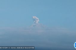 Gunung Semeru Erupsi, Semburkan Abu Setinggi 600 Meter di Atas Puncak