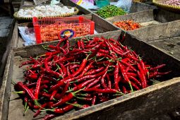 Harga Pangan Hari Ini: Cabai Rawit Rp70.400/Kg, Telur Ayam Rp29.750/Kg
