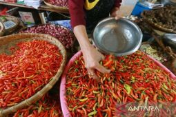 Harga Pangan Hari Ini: Cabai Rawit Rp91.650/Kg, Telur Ayam Rp29.500/Kg
