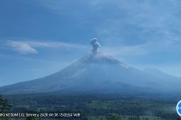 Gunung Semeru Erupsi Selasa Siang, Tinggi Letusan Mencapai 900 Meter