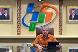 BPS Prediksi Panen Padi dan Produksi Beras Naik pada Juni hingga Agustus 2026