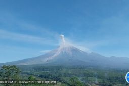 Hari Ini Gunung Semeru Empat Kali Erupsi, Tinggi Letusan hingga 1 km