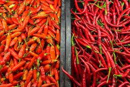 Harga Cabai Rawit Tembus Rp63.900 per Kg, Telur Ayam Rp29.250