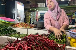 Harga Cabai Rawit Merah Tembus Rp62.100 per Kg, Telur Ayam Rp29.250