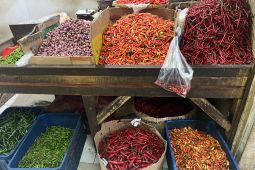Harga Pangan Hari Ini: Cabai Rawit Rp61.450/Kg, Telur Ayam Rp29.050/Kg
