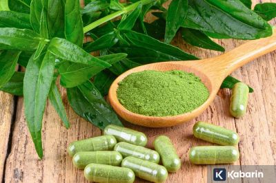 Senyawa alami pada spearmint dinilai mampu mendukung fungsi kognitif