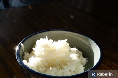 Ahli Ungkap Cara Aman Menyimpan Nasi Supaya Tetap Sehat Dikonsumsi