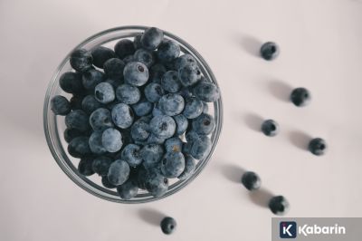 Buah Blueberry Ternyata Bisa Dukung Kesehatan Tulang