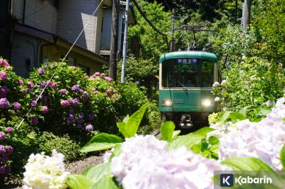 Berbagai jenis transportasi umum yang ada di Jepang beserta biayanya