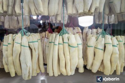 Manfaat serta efek samping tape singkong bagi kesehatan