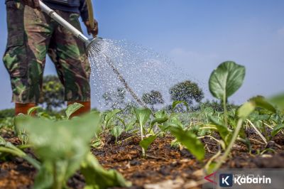 Boleh nggak sih air AC dipakai nyiram tanaman? ini penjelasannya
