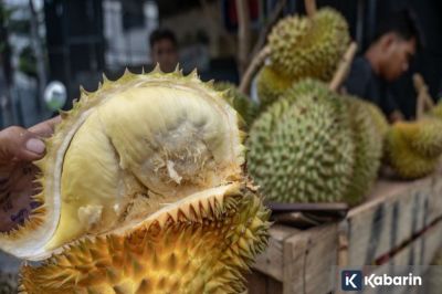 6 manfaat buah durian yang baik untuk kesehatan tubuh
