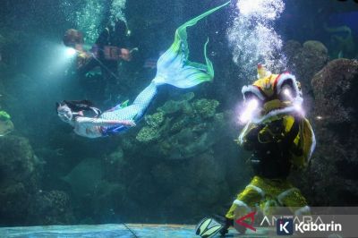 Gak Cuma SeaWorld Ancol, Ini 8 Akuarium yang Menarik buat Kamu Kunjungi