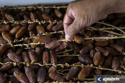 Waktu Terbaik Makan Kurma Menurut Ahli Gizi