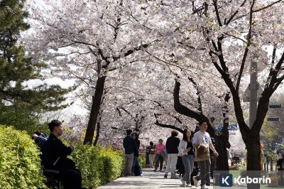 Korea Selatan Berlakukan Bebas Visa Sementara bagi Turis Indonesia