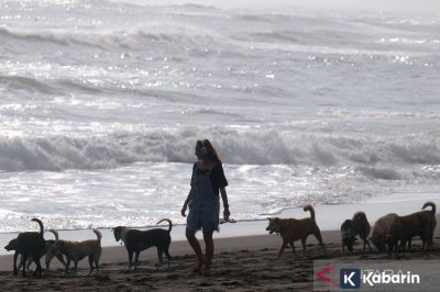 5 hewan yang sebaiknya tidak dipelihara menurut Islam, ini alasannya