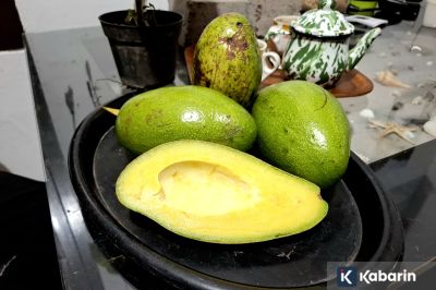 Masih aman! Ini fakta di balik alpukat yang berubah warna jadi cokelat
