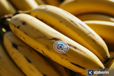 Indonesia jadi negara kedua pengguna Nano Banana teraktif dengan 18 juta gambar per hari