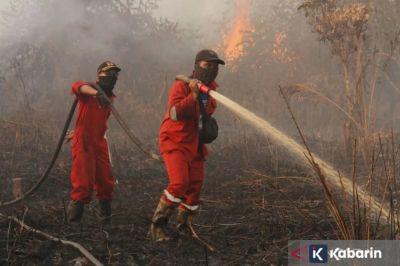 UCLA: Dampak Kebakaran Hutan LA Masih Hantui Kesehatan Warga