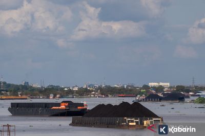 Harga batu bara kembali melemah di periode II November