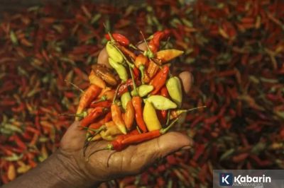 Update harga pangan nasional: Cabai rawit sentuh Rp61.750/kg, telur ayam Rp32.050/kg