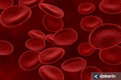 Peneliti ciptakan pembuluh darah 3D untuk ungkap rahasia stroke