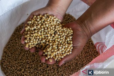 Harga Kedelai di Jakarta Naik, Masyarakat Diminta Sesuaikan Kebutuhan