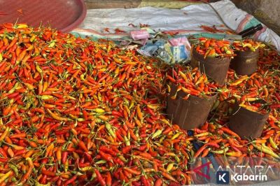 Daftar harga pangan pokok hari Rabu ini: cabe Rp51.150/kg, telur Rp31.750/kg