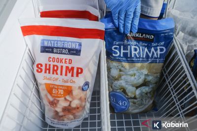 KKP Terbitkan 1.248 Sertifikat Udang untuk Dukung Ekspor ke AS