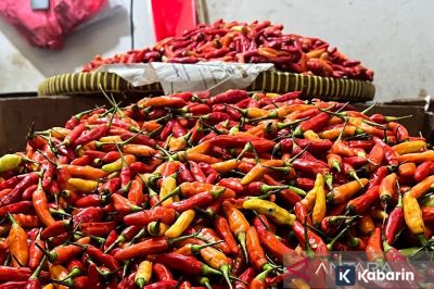 Update harga bahan pangan hari ini: Cabe Rp70.200/kg, telur Rp32.450/kg