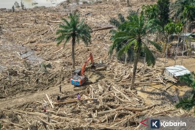 Bareskrim selidiki penebangan liar yang diduga terjadi di Sungai Tamiang