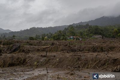 1.341 hektare sawah di Sumbar gagal panen akibat bencana