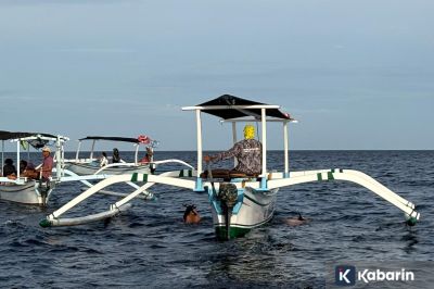 Cara melihat lumba-lumba di laut Bali Utara