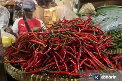 Update harga bahan pangan hari ini: Cabe Rp80.700/kg, telur Rp32.650/kg