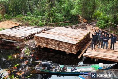 Kayu ilegal ratusan kubik disita di Hulu Riau, hutan terancam rusak