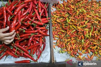 Harga cabe rawit capai Rp80 ribu per kilo, sedangkan telor Rp32 ribu per kilo