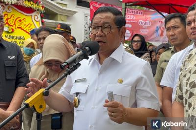 Pemprov Jakarta pangkas pohon tua demi kurangi risiko tumbang akibat angin kencang